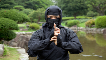 Authentic Ninja Experience